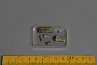 F 03488
<br/>
<br/>
<em></em>